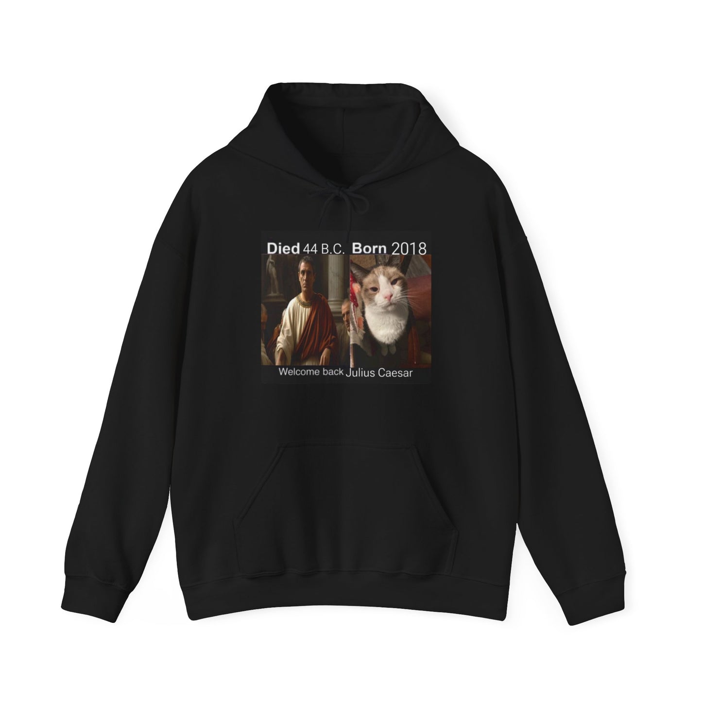 Heavy Blend Hooded Sweatshirt Welcome back Ceasar